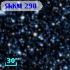 SkKM 290