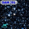 SkKM 291