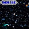 SkKM 318