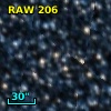 RAW  206