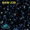 RAW  239