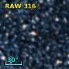 RAW  316