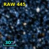 RAW  445