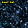 RAW  493
