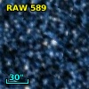 RAW  589