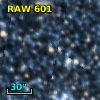 RAW  601
