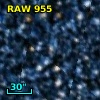 RAW  955
