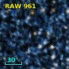 RAW  961