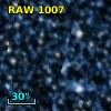 RAW 1007