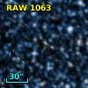 RAW 1063