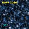 RAW 1066