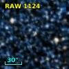 RAW 1124