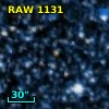 RAW 1131