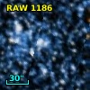 RAW 1186