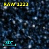RAW 1223