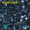 RAW 1308