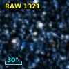 RAW 1321