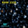 RAW 1531