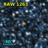 RAW 1263
