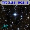 TYC 3181-1028-1