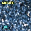 LIN 253