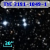 TYC 3181-1049-1