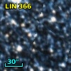 LIN 366