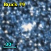Bruck  79