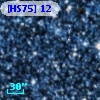 [HS75] 12