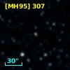 [MH95]  307