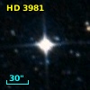 HD   3981