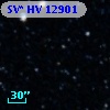 SV* HV 12901