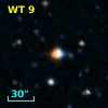 WT    9