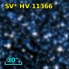 SV* HV 11366