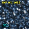 SV* HV  1632