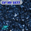 SV* HV  1877