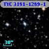 TYC 3181-1289-1