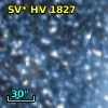 SV* HV  1827