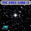 TYC 3181-1366-1