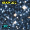 SkKM 232