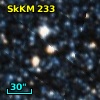 SkKM 233