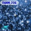 SkKM 256