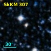 SkKM 307