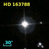 HD 163788