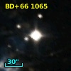BD+66  1065