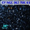 Cl* NGC  362    TUC      61