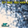 Cl* NGC  362    HAR    1146