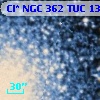 Cl* NGC  362    TUC     135