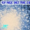 Cl* NGC  362    TUC     213