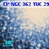 Cl* NGC  362    TUC     293